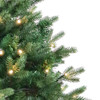 3' Pre-Lit Warm White LED Jackson Pine Tree