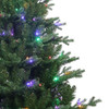 5' Pre-Lit Multicolor LED Jackson Pine Tree