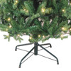 6' Pre-Lit Warm White LED Jackson Pine Tree