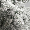 5' Pre-Lit Warm White LED Snow Pine Tree