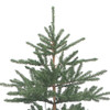 7' Pre-Lit Clear Incandescent Mountain Pine Tree