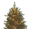 7.5' Pre-Lit Warm White Cluster LED Noble Fir Tree