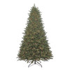 9' Pre-Lit Warm White Cluster LED Noble Fir Tree