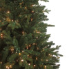 9' Pre-Lit Warm White Cluster LED Noble Fir Tree