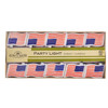 9' UL 10L USA Flag Light Set
