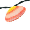 9' UL 10L Conch and Shells Light Set