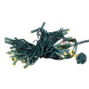 24.5' UL 50L Warm White Soft Twinkle 5MM LED Connectible Light Set With Green Wire