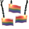 9' UL 10L Pride Flag Light Set