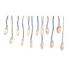 27.5' UL 12L 12 Days Of Christmas Light Set