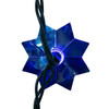 15.7' 20L Multicolor LED Flower Light Set