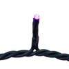 16.5' UL 100L Purple LED Green Wire Jingle Bright™ Light Set