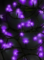 16.5' UL 100L Purple LED Green Wire Jingle Bright™ Light Set
