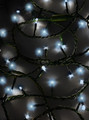 16.5' UL 100L Cool White 20% Twinkle LED Green Wire Jingle Bright™ Light Set