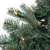 24" Battery-Operated Pre-Lit Warm White Cluster LED Noble Fir Wreath