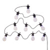9' UL 50L Multicolor Fairy Light Edison Bulb Set