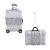 Glass Silver Suitcase Ornaments, 2 Assorted