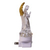 Angel With Spinning Glitter LED Night Light