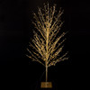 4' Pre-Lit Classic White & Warm White LED Gold Foil Twig Tree 
