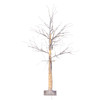 4' Pre-Lit Warm White LED White Birch Twig Tree 