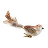Glass Brown Bird With Feathers Clip-On Ornament