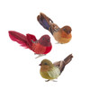 Red, Green & Brown Feather Bird Clip-On Ornament