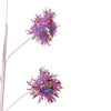 Pink & Purple Pompom Spray
