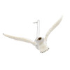 Noble Gems™ Glass Flying Snowy Owl Ornament
