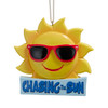"Chasing The Sun" Ornament