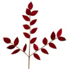 Dark Red Leaf Spray