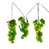6' 75L Large Green Grape Cluster LED Light Set With Green Wire