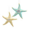 Blue & Yellow Sea Star Ornaments, 2 Assorted