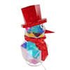 24" Lighted Magical Iridescence Holographic Snowman