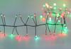 8' 240L Red & Green LED Micro Twinkle Fairy Light Cluster Garland 