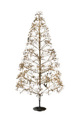 View All Specialty Trees