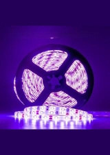 UV Black Lights