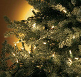 Incandescent String Lights