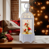 Water Globes & Lanterns