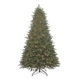 Noble Fir