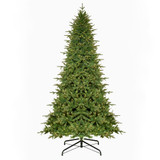Grand Fir