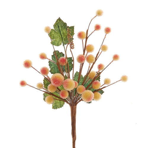 Yellow & Red Mixed Berry Pick