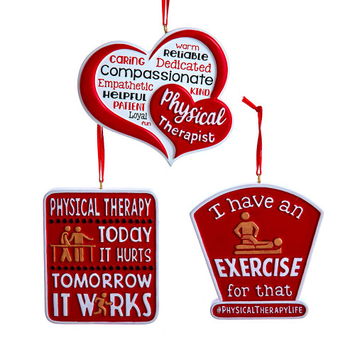 Physical Therapy Ornaments, 3 Assorted