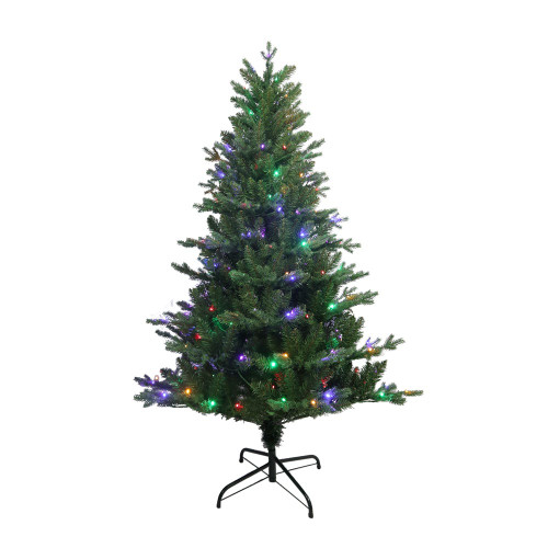 5' Pre-Lit Multicolor LED Jackson Pine Tree