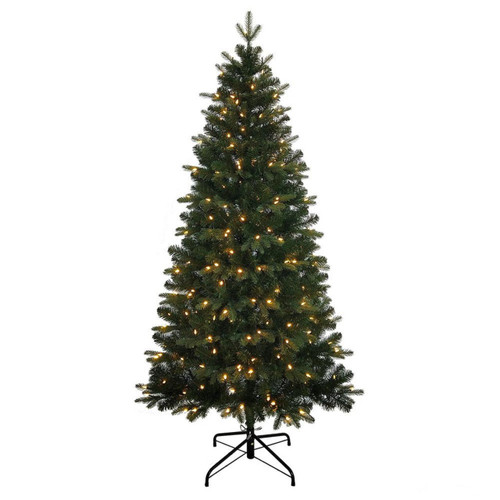 6' Pre-Lit Warm White LED Studio Spruce Tree