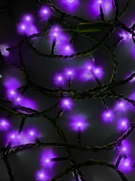 16.5' UL 100L Purple LED Green Wire Jingle Bright™ Light Set