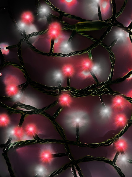 16.5' UL 100L Red & Pure White LED Green Wire Jingle Bright™ Light Set