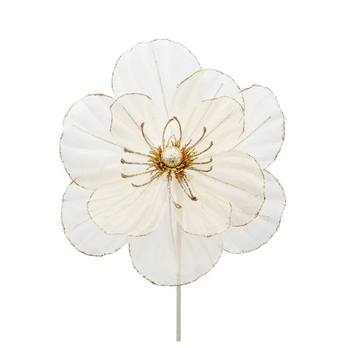 Sheer Champagne Magnolia Spray