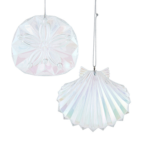 Iridescent Shell & Sand Dollar Ornaments, 2 Assorted 