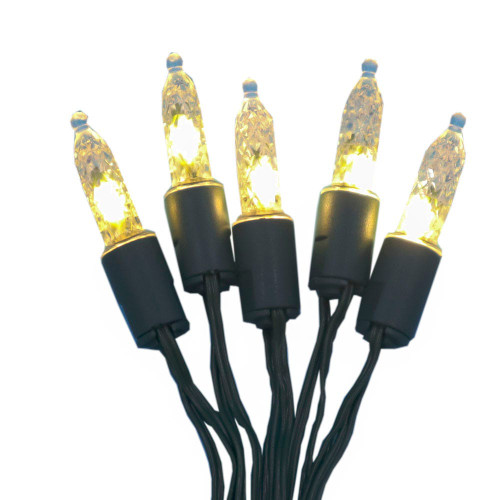 6.3' Battery Operated 20L Warm White & Multicolor Mini LED Lights In PDQ, 2 Assorted