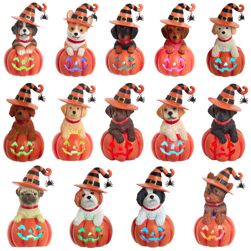 Battery Operated Dog On Pumpkin Table Piece, 14 Assorted
