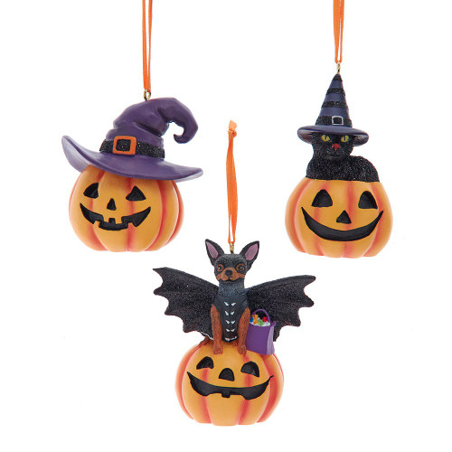 Cat & Dog On Pumpkin Ornaments, 3 Assorted